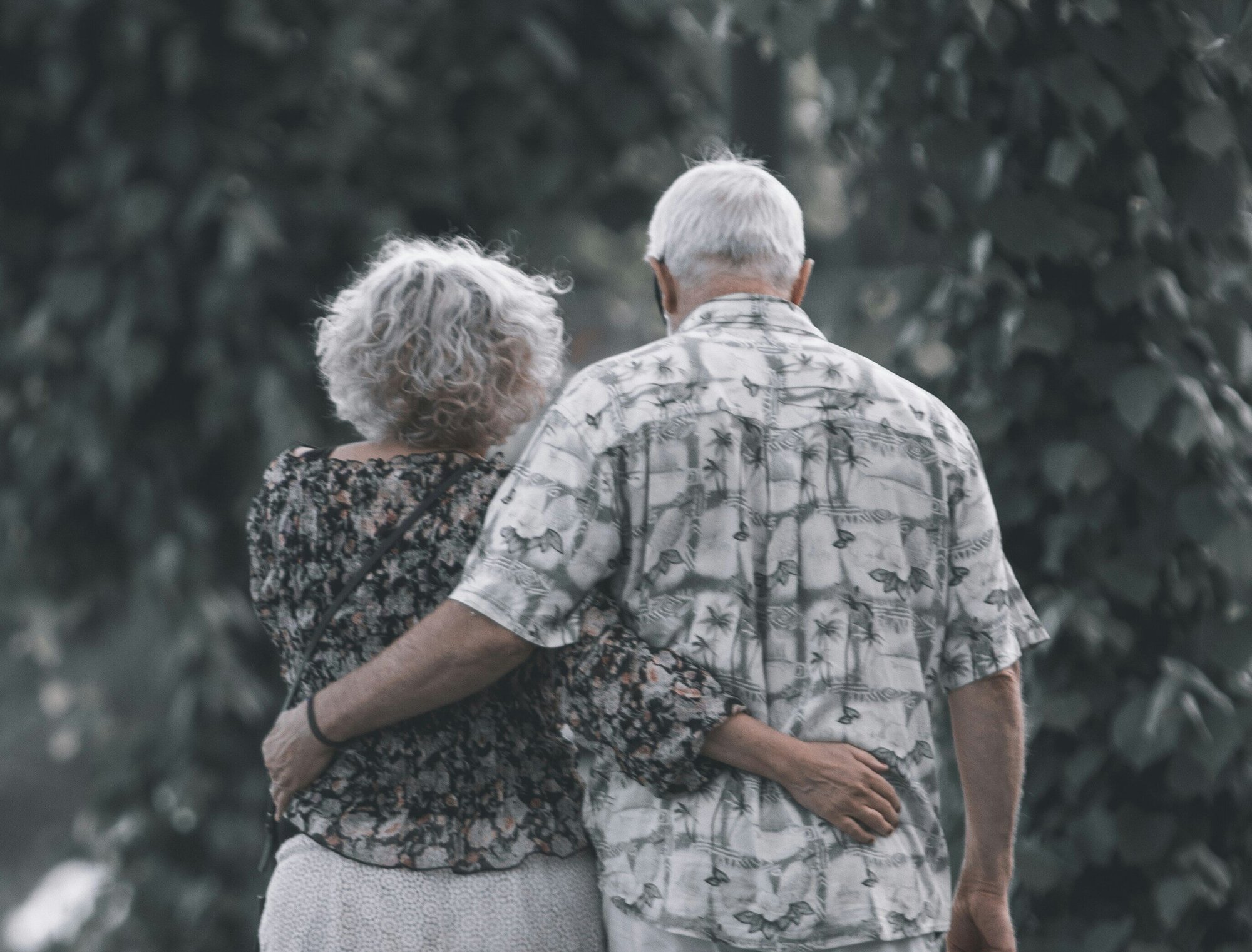 nihon-graphy-i7vY7P311dY-unsplash